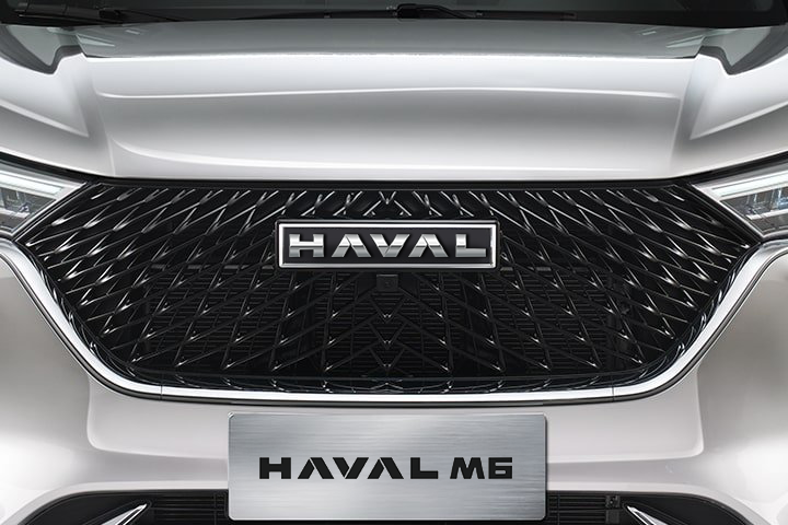 HAVAL M6, Алты қырлы радиатор торы